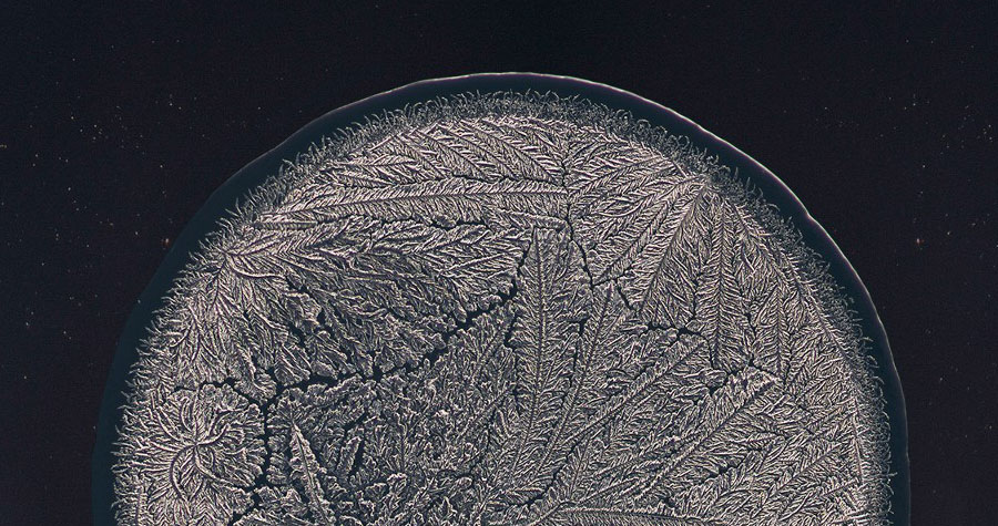 Image d'une larme vue au microscope